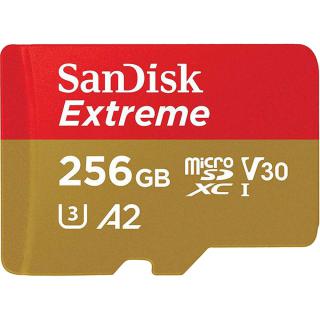 Micro SDXC Extreme Pro 256GB