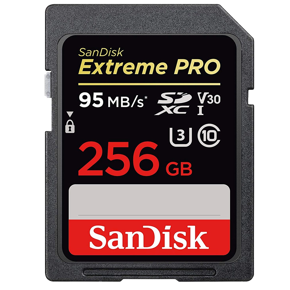Card Memorie  Extreme Pro SDXC 256GB 95MBs