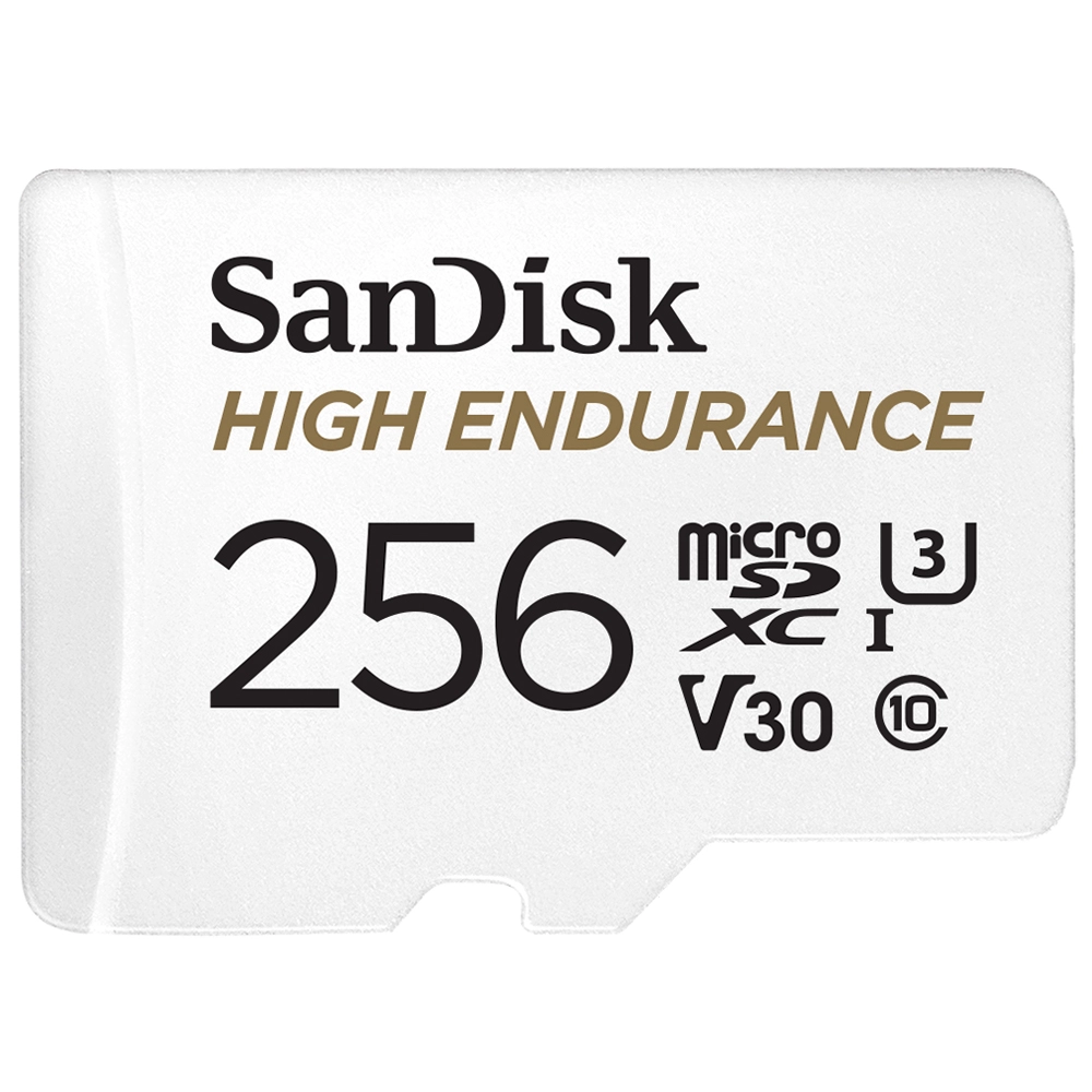 Card Memorie High Endurance 256GB