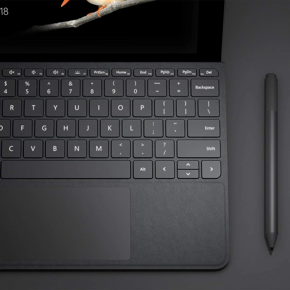 Husa Agenda Type Cover + Tastatura Pentru Surface Go  Argintiu