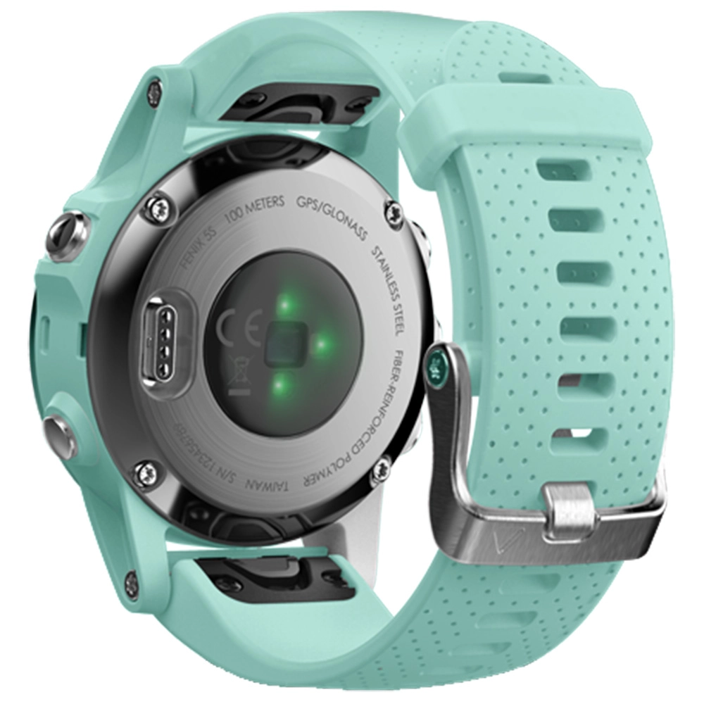 Smartwatch Fenix 5S Sapphire Edition Frost  Albastru
